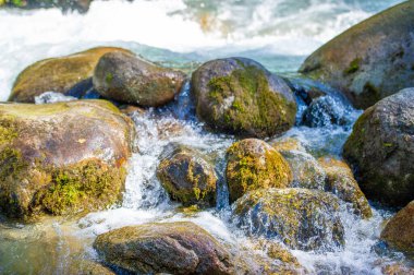 Doğa Senfonisi: Bu dağ deresi, pürüzsüz ve zamansız kayaların üzerinde çağlayarak yemyeşil bir arazide dans ederken büyüleyici bir melodi yaratır. Doğa Serenadı