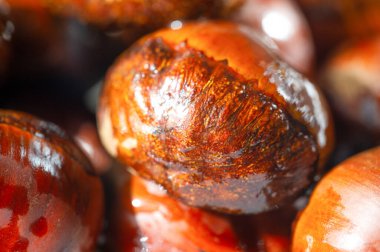 Kestanenin hassas bir düzeni sonbaharın özünü yakalar. Temiz beyaz bir arkaplan üzerine basit ama sofistike bir sunum. Mevsimsel zarafeti her detayıyla tecrübe et.