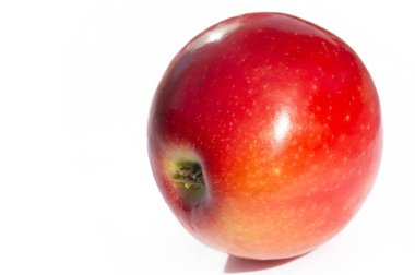 Beyaz arka planda elma. Elma ağacı - gerçek güzelliğin bir örneği