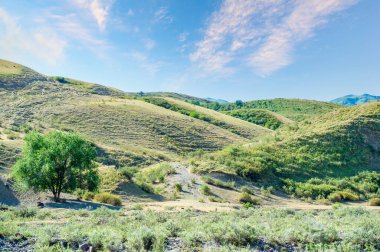 Yazın görkemli dağların çarpıcı güzelliğinin tadını çıkar. Dağ eteklerinde yürüyüş, bisiklete binmek ve kamp yapmak gibi doğa aktivitelerinin tadını çıkarın. Sakin bir dağ ortamında rahatla ve gevşe..