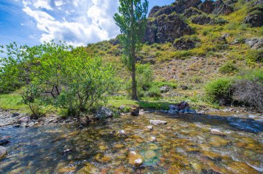 Engebeli bir kanyondan geçen bir nehrin dingin akışını hissedin. Kendinizi dağların çarpıcı doğal güzelliğine daldırın. Çevrenizdeki huzuru ve sükuneti hissedin..