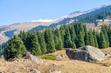 Sonbaharın güzelliğini tüm ihtişamıyla tecrübe et. Kendinizi altın renklere ve doğanın canlı renklerine daldırın. Görkemli tepelerin ve yemyeşil ormanların nefes kesici manzarasının tadını çıkar..