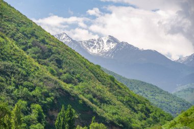 Sonbaharda Tien Shan 'ın nefes kesici güzelliğini tecrübe et. Kendinizi canlı yapraklara ve yeşil çam ağaçlarına daldırın. Günlük hayattan huzurlu ve huzurlu bir ayrılık keşfedin..