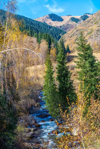 Tien Shan 'ın dokunulmamış güzelliğini keşfedin. Antik ağaçlarla çevrili bir huzur ve sükunet hissini yaşayın. Sizi dehşete düşürecek resimli manzaralarda dolaşın..