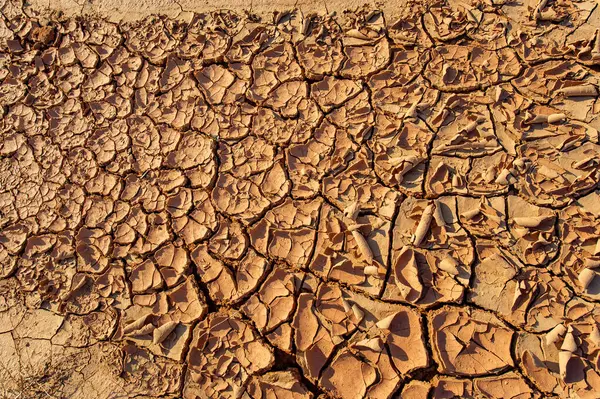 Güneş ufukta batarken çöl vahasının büyüleyici cazibesini keşfedin! Etkileyici dağ kumullarında yürüyün ve yüzeylerine işlenmiş karmaşık doku ve desenlere hayret edin..