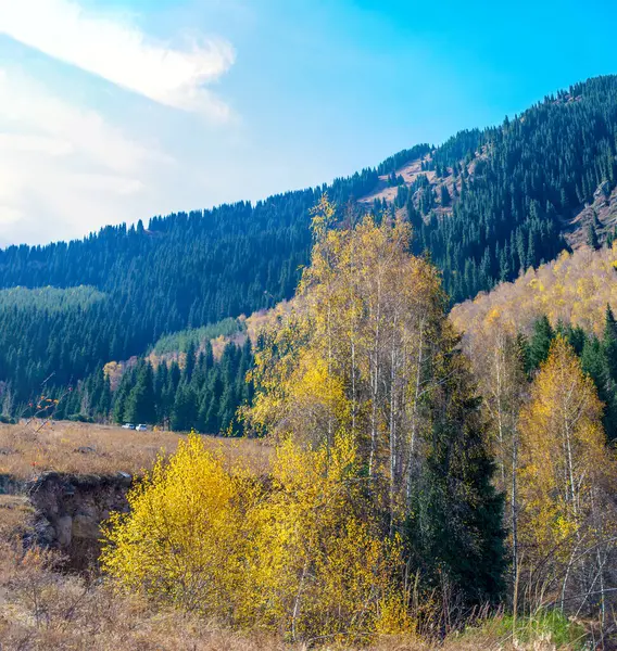 Tien Shan Dağları 'nın doğal güzelliğini tecrübe edin. Yeşil ladin ve huş ağaçlarından oluşan ahenkli manzaralar keşfedin. Nefes kesen kaya oluşumları sizi büyüleyecek. Hislerini uyandır.