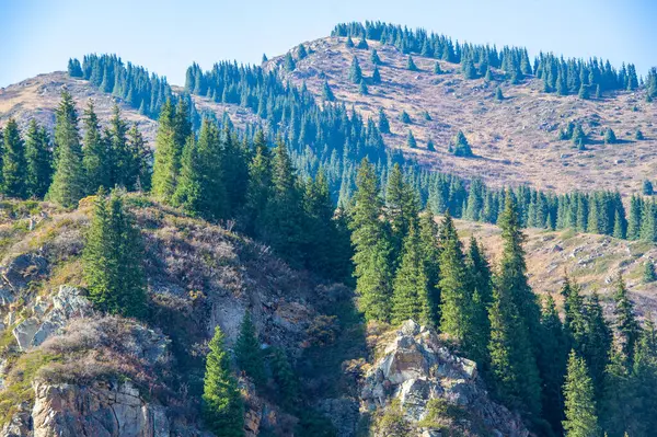 Sonbahar zirvelerinin nefes kesici güzelliğinin tadını çıkar. Kendinizi sıcak altın renklere ve yemyeşil ormanlara daldırın. Sonbahar doğasının görkemli ihtişamında ilham bul..