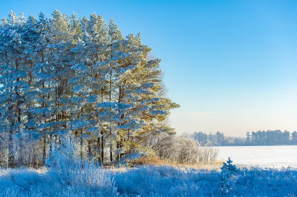 Karla kaplı bir tarlanın büyüsünü hissedin. Parlak mavi gökyüzünün rehberliğinde sonsuz maceralar keşfedin. Kendini doğanın kar tanelerinin büyüleyici kollarına bırak..