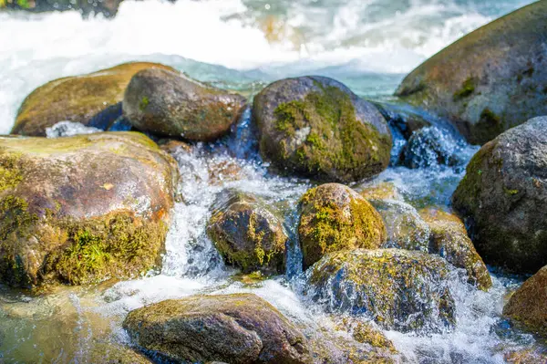 Doğa Senfonisi: Bu dağ deresi, pürüzsüz ve zamansız kayaların üzerinde çağlayarak yemyeşil bir arazide dans ederken büyüleyici bir melodi yaratır. Doğa Serenadı