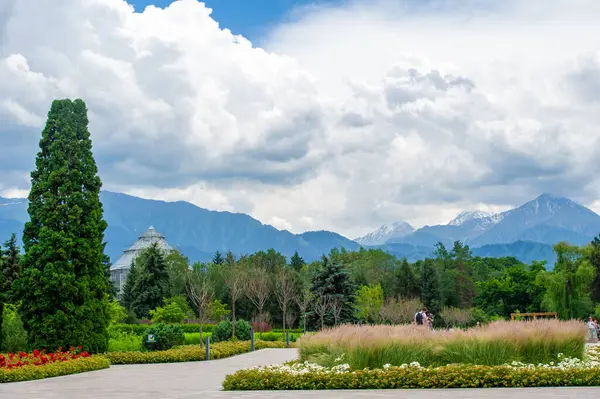 Bahçenin yemyeşil yeşilliği arka plandaki görkemli dağlarla mükemmel bir şekilde harmanlanarak sizi yenilenmiş hissettirecek mükemmel bir manzara yaratıyor. 2021 06 10 Kakzakhsan Almatı
