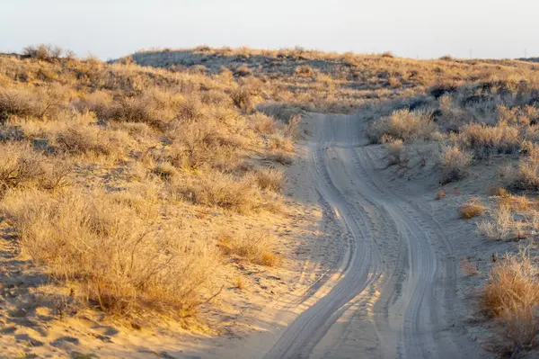 Bozkırda sonbaharın nefes kesici güzelliğinin tadını çıkar. Kum tepelerinde çarpıcı bir günbatımına tanık olun. Günbatımı Büyüsü sırasında dinginliğin altın renginin tadını çıkar..