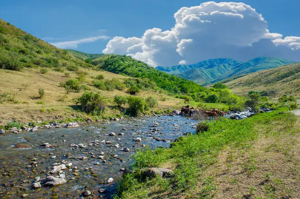 Dağ nehrinin büyüleyici güzelliğinin tadını çıkar. Akan suyun fısıldadığı hikayeleri dinle. Doğayla bağlantı kur ve seni çevreleyen eski büyüyü hisset..