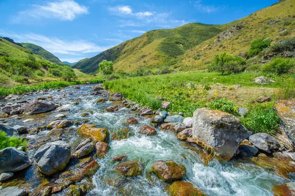 Engebeli bir kanyondan geçen bir nehrin dingin akışını hissedin. Doğanın başyapıtının hayranlık uyandıran güzelliğini deneyimleyin. Kendini dağ manzarasının sükunetine bırak.