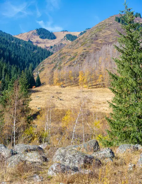 Tien Shan Dağları 'nın çarpıcı doğal güzelliğinin tadını çıkarın. Yeşil ladin ve huş ağaçlarının etkileyici kaya oluşumlarıyla uyumlu birleşiminin tadını çıkarın. Hislerini uyandır.