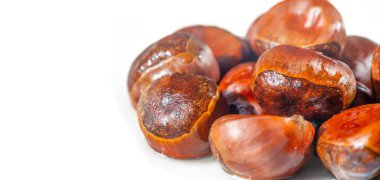 Özellikle seçilmiş kestane koleksiyonu. Nostalji ve konforu çağrıştıran mevsimlik ziyafet ve dekorasyonlarla şımarın. Minimalist beyaz tabakalarımızla evinizde şık ve rahat bir atmosfer yaratın..