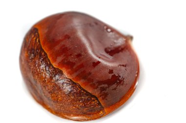 Bu çarpıcı kestane görüntüsüyle doğanın güzelliğinin tadını çıkar. Bu minimalist ortamda doğal tasarımın basitliğini ve zarafetini deneyimleyin. İlham arayanlar için ideal.