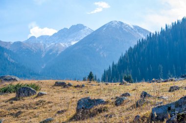 Sonbaharın güzelliğini tüm ihtişamıyla tecrübe et. Kendinizi altın renklere ve gür ormanlara daldırın. Doğanın ihtişamında ilham bul..