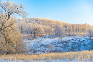Gün doğumunda karla kaplı bir tarlanın güzelliğini hissedin. Nöbetçi gibi duran uzun ağaçların arasında bir yürüyüş yap. Dokunulmamış otların kabarık beyaz tabakaların altından süzüldüğünü keşfedin..