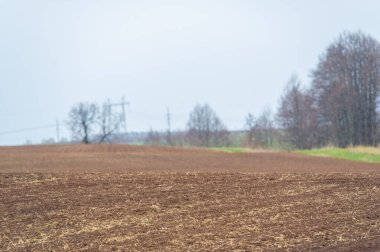 Caring Earth hasat mevsiminin güzelliğini ve yenilenmesini tecrübe edin. Yaşam döngüsünü ve doğanın cömertliğini kutlayın. Verimli bir hasat için sevgi ve özenle hazırlan..