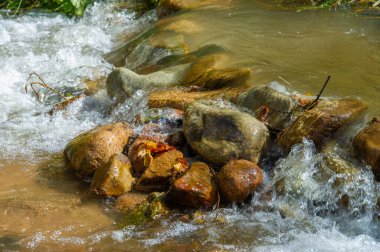 Bir dağ deresinde su. Taşların arasından yolunu bulur. Ruhlar için Basamak Taşlar Bu pitoresk dağ deresinin rahatlatıcı melodilerinde kendinizi kaybedin. Sakin Bulundu