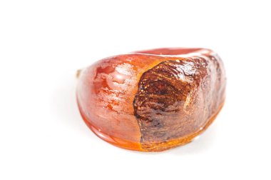 Kestanenin güzel altın tonları çarpıcı detaylarla yakalanır. Boş beyaz tuval doğanın karmaşık ayrıntılarını ortaya koyuyor. Makro fotoğrafçılık güzellik sergiliyor