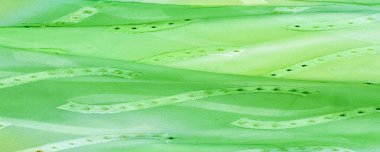 Kusursuz kaleydoskop. Kumaş ipek yeşil-mavi gözlükler. Canlı renkler ve deniz tarağı şekilleri, sarı, mavi ve yeşil geometrik ipek krep de chine renginde gerçekten eşsiz bir krep oluşturur..