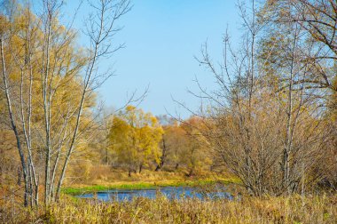 Mevsim değişimi nehre yeni bir perspektif getiriyor. Su çekildikçe, nehrin gizli derinlikleri açığa çıkar. Sonbahar renkleri sığ nehrin sakin yüzeyini yansıtır.