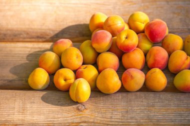 Kayısı. Kendi adları Prunus Armeniaca olsa da kayısılar muhtemelen Çin 'den geliyor, Ermenistan' dan değil. Bilinen en eski meyve kayıtları İmparator Yu zamanından, M.Ö. 2200 civarında.,