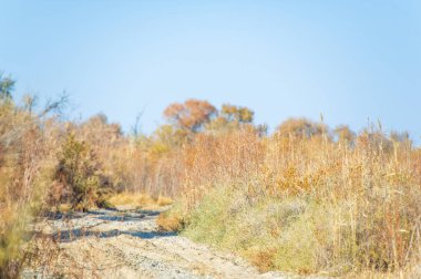 Uçsuz bucaksız ve pitoresk çayırlarda dolaşırken bu toprak yolun cazibesini içine çek. Kendini doğanın dokunulmamış güzelliğinin sadeliği ve sükunetine bırak..