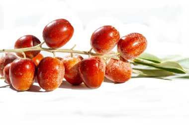 Temiz bir estetik için beyaz arka plan. Geleneksel tıpta kullanılan bitkinin meyvesi elaeagnus angustifolia. Bal bitkisi olarak bilinir. Tozlaşma için arılar çekiliyor.