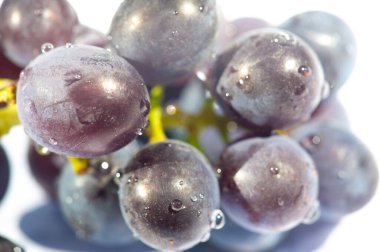 Temiz beyaz arka planda siyah üzümlerle güzel bir zıtlık var. Şarapla ilgili pazarlama materyalleri ya da sosyal medya paylaşımları için ideal bir görüntü. Sulu üzüm dokusu