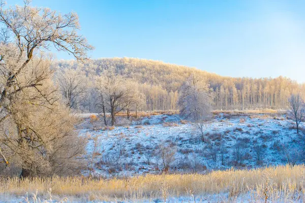 Gün doğumunda karla kaplı bir tarlanın güzelliğini hissedin. Nöbetçi gibi duran uzun ağaçların arasında bir yürüyüş yap. Dokunulmamış otların kabarık beyaz tabakaların altından süzüldüğünü keşfedin..