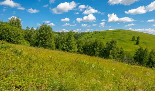 Yaz, tepe, tepeler, huş ağaçları dağların yamaçlarında büyürler. Yamaç boyunca dönen toprak bir yol, sıcak yaz günleri.