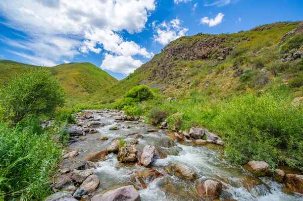 Doğanın huzur ve sükunetini tüm ihtişamıyla yaşayın. Kanyondan akan nehrin rahatlatıcı seslerini dinle. Etrafını saran dağların görkemli güzelliğinin tadını çıkar..