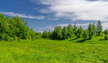 Bahar, bulutlu gökyüzü manzarası. Su çayırları, sel yatakları, vadiler. Nehre yakın bir yerde, çoğunlukla nehir çökeltilerinden oluşmuş ve sele maruz kalmış bir alan..