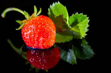 Vitamin dolu sulu çilekler. Muhteşem siyah bir arka planda olgun ve sulu meyveler. Taze sıkılmış meyve suları veya meyve suları için ideal bir bileşen..