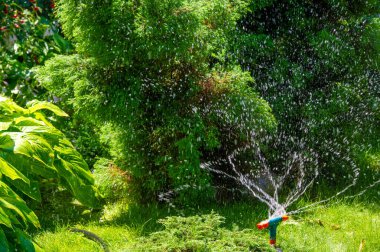 Bahçeni fıskiye sistemiyle verimli bir şekilde sula bitkilerini sağlıklı ve susuz tut. Otomatik sulama ile zaman ve efordan tasarruf et..