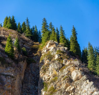 Görkemli Tien Shan çiftliğinin görkemli ilkelerini ve huş ağaçlarını keşfedin doğanın dinginliğini ve sükunetini en saf haliyle yaşayın. Kendini bu nefes kesici manzaranın kalbine daldır.