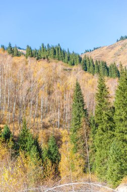Tien Shan ladin ormanlarının mistik cazibesini tecrübe et. Kendinizi doğadaki parlak sonbahar renklerine daldırın. Maceracı ruhunu serbest bırak ve yeni yükseklikleri fethet.