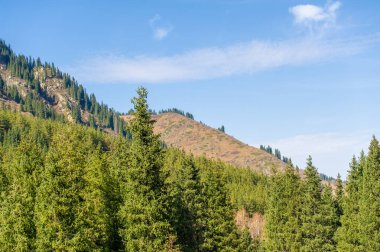 Kendinizi canlı sonbahar renkleri cennetine daldırın. Tien Shan sıradağları sonbaharın gölgeleriyle canlanır. Çelişkili paletlerin büyüleyici güzelliğini tecrübe et..