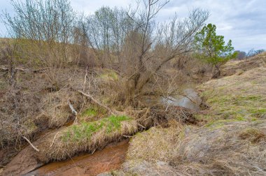 Sonsuz tarlaların ortasında nefis bir vaha. Yansımanın vahşi yaşamla buluştuğu bir yer. Kunduz cennetinin serenatını deneyimlemek. Gizemli Gölet 'in gizemlerini açığa çıkar.
