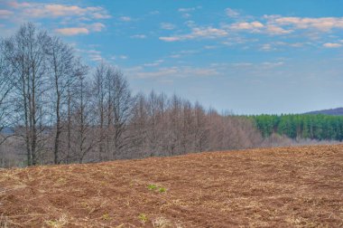 Gün batımında doğanın tuvalinin güzelliğini hissedin. Güneş tarlanın üzerinde batarken nefes kesici renkleri yakalayın. Rahatlamak ve rahatlamak için güzel bir zemin oluşturun.