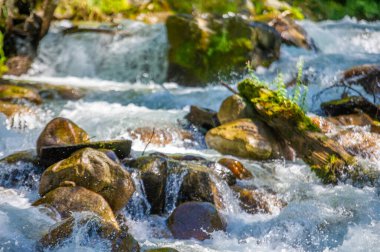 Bir dağ deresinin rahatlatıcı seslerini hisset. Kendinizi doğanın büyüleyici melodisine daldırın. Yemyeşil manzaralarda dolaşın ve güzelliğinden büyülenin..