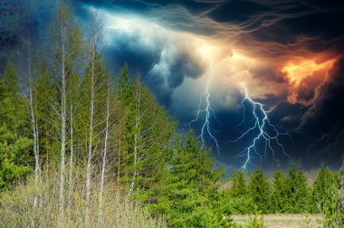 Ormandaki baharın güzelliğini hisset. Kasvetli gökyüzünün ve uyanan doğanın kontrastının tadını çıkar. Doğayla iç içe olmanın verdiği neşe ve huzuru hisset..