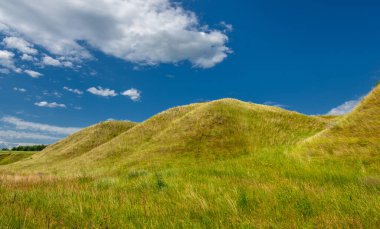 Yaz manzarası, nehir taşkınları, pitoresk kıyılar, kır çiçekli parlak yeşil çimenler, beyaz bulutlu mavi gökyüzü, ılık yaz günleri.,