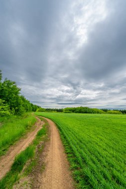 İlkbahar fotoğrafçılığı, kırsal alan, genç buğday tarlalarının arasından geçen toprak yol, bir yerden diğerine uzanan geniş bir yol, özellikle araçların kullanabileceği özel hazırlanmış bir yüzeye sahip olan bir yol.
