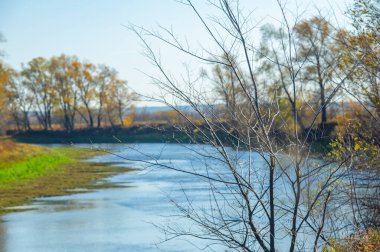 Sonbahar renklerinin güzelliği sığ nehre yansıyor. Akan suyun sesiyle huzurlu ve huzurlu bir atmosfer. Nehrin derinliğini farklı bir açıdan görmek için eşsiz bir fırsat..