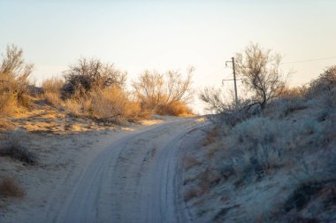 Bozkırdaki sonbaharın güzelliğinin tadını çıkar. Kum tepelerinde nefes kesen gün batımlarını izleyin. Kendinizi büyüleyici çöl manzaralarına daldırın..