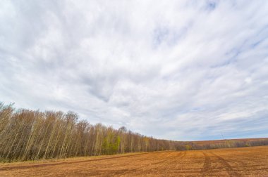 Başarılı ürün büyümesi için zemin hazırlayın. Tamamen sürülmüş bir tarla tohum ekmeye hazır. Bereketli toprak bereketli bir hasat garantisi verir..