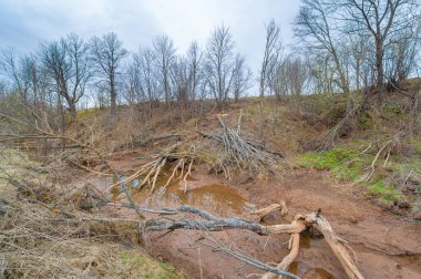 Sonsuz tarlaların arasında gizlenmiş büyüleyici bir vahayı keşfet. Gizemli Gölet 'te doğanın serenatını tecrübe et. Kunduz cenneti ve onun vahşi harikalarını keşfedin..